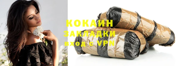 гашик Богданович