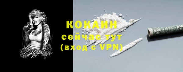 гашик Богданович