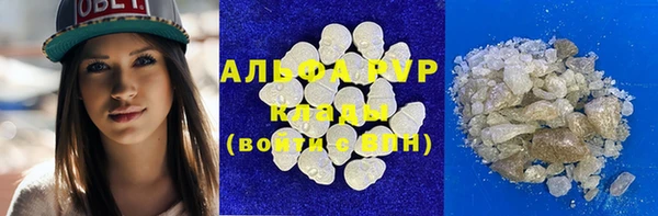 гашик Богданович