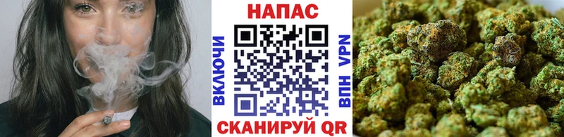 Конопля SATIVA & INDICA  Мытищи 